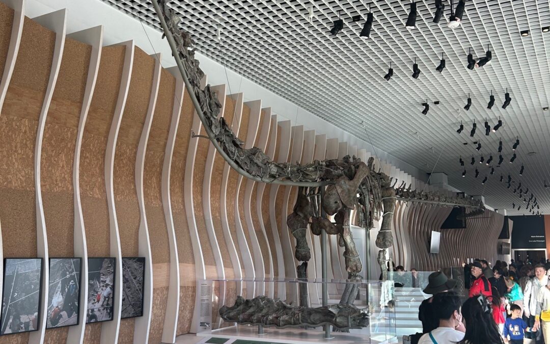Jama Celebrates The Natural History Museum Grand opening