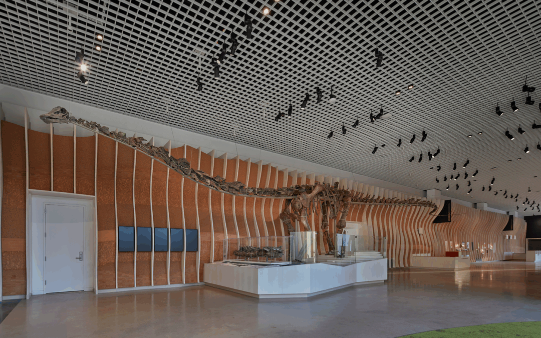 Natural History Museum Commons Expansion ENR Award